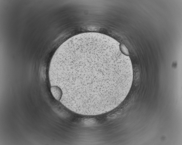 X0000116570262201001211250