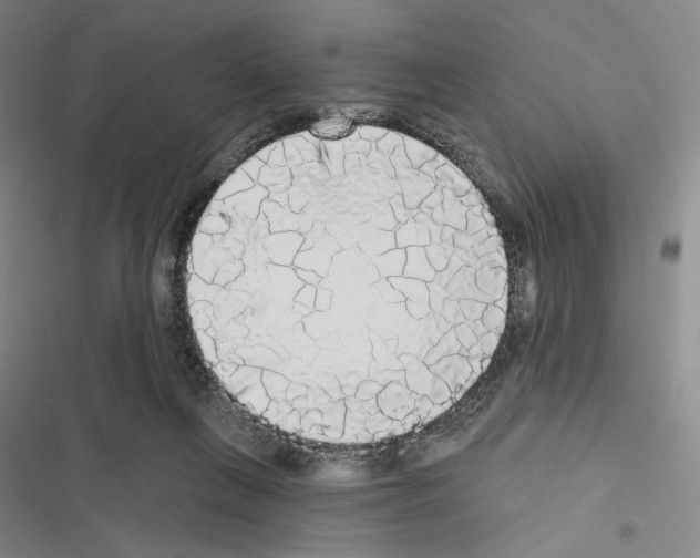 X0000116570263201001211250