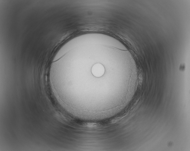 X0000116570264201001211250