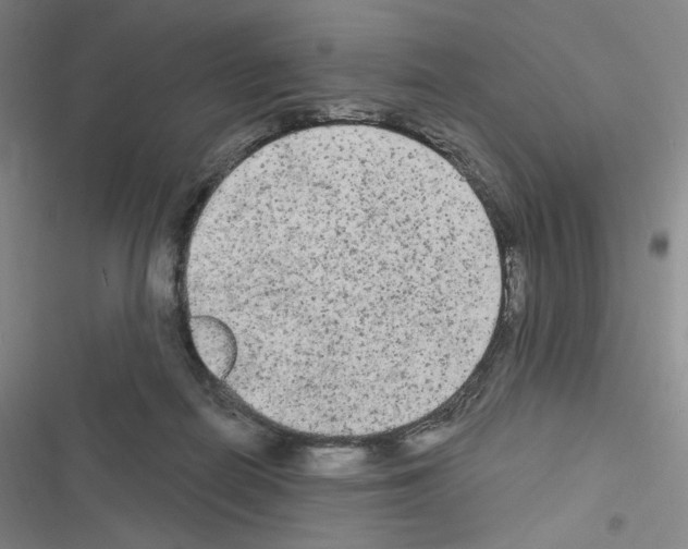 X0000116570266201001211250