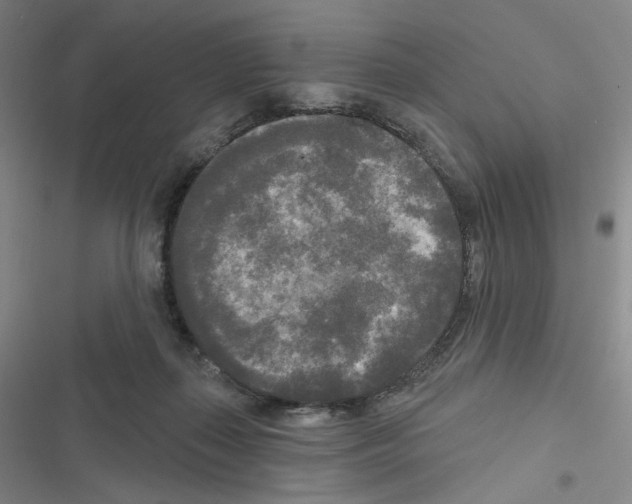 X0000116570267201001211250