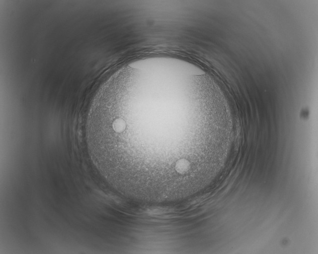 X0000116570268201001211250