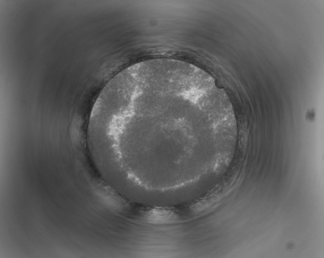 X0000116570270201001211250