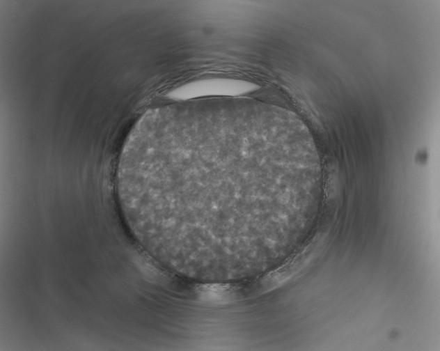 X0000116570273201001211250