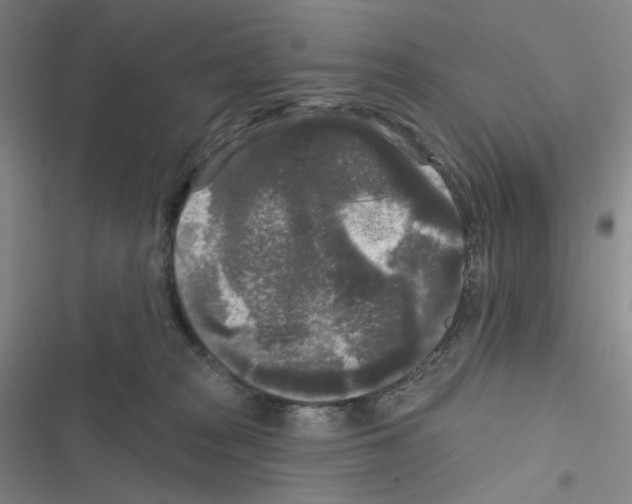 X0000116570277201001211250