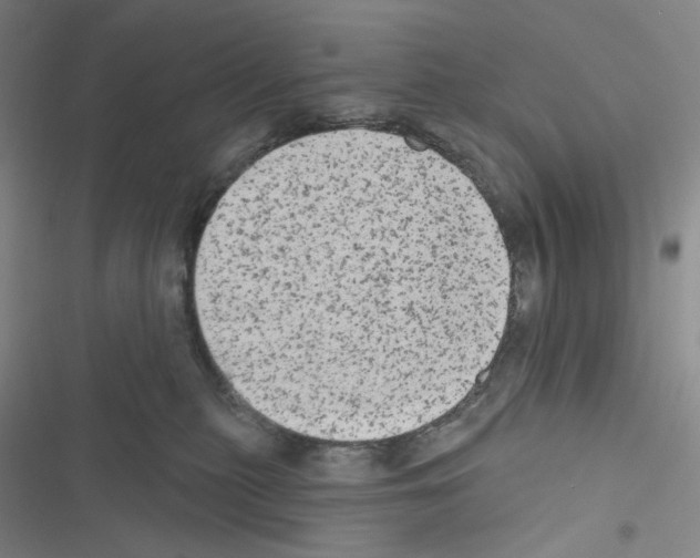 X0000116570279201001211250