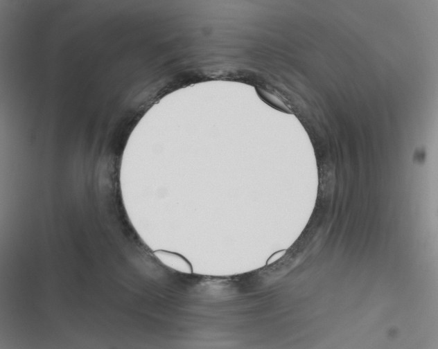 X0000116570280201001211250