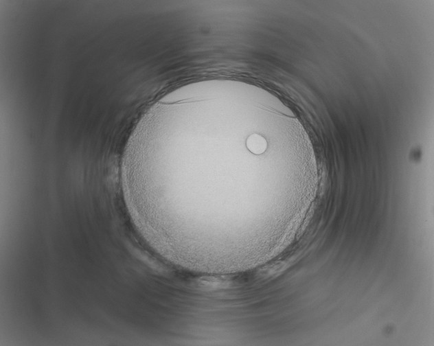 X0000116570284201001211250