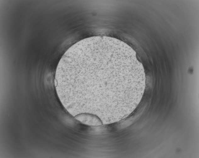 X0000116570286201001211250