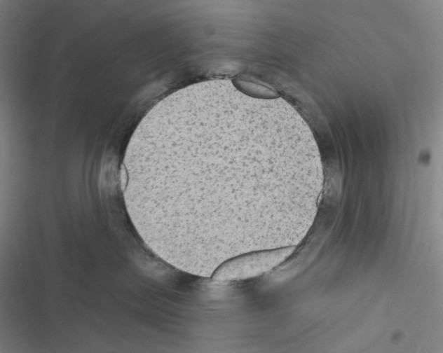 X0000116570287201001211250