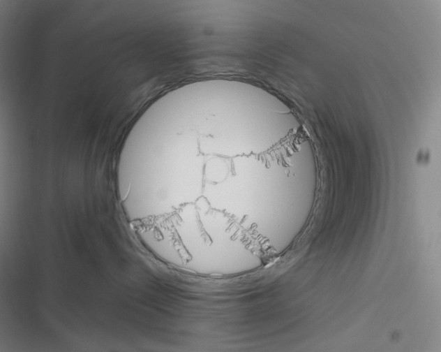 X0000116570288201001211250