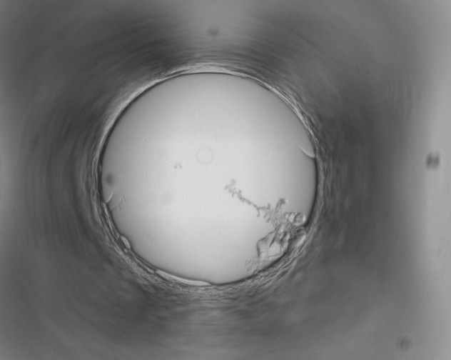 X0000116570289201001211249