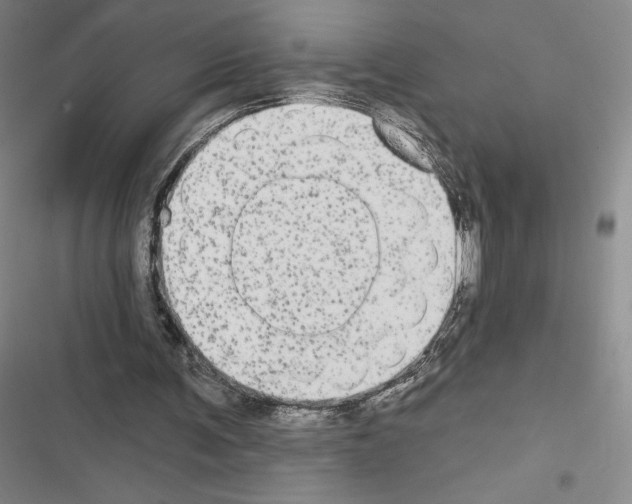 X0000116570291201001211249