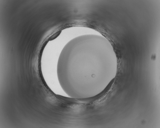 X0000116570293201001211249