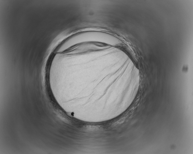 X0000116570296201001211249