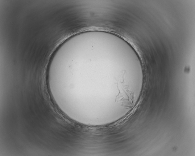 X0000116570297201001211249