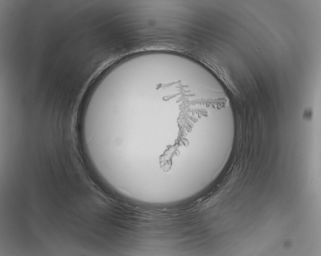 X0000116570300201001211249