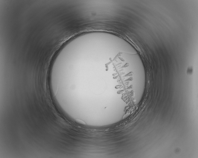 X0000116570301201001211249