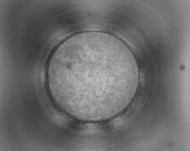 X0000116570302201001211249