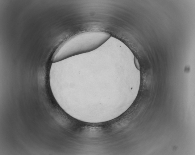 X0000116570304201001211249