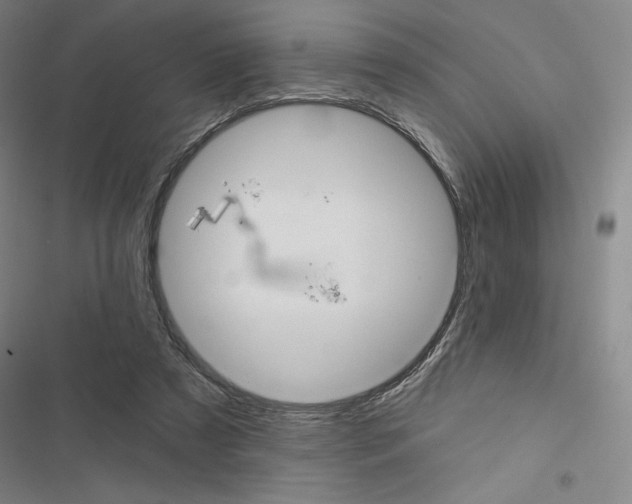 X0000116570305201001211249