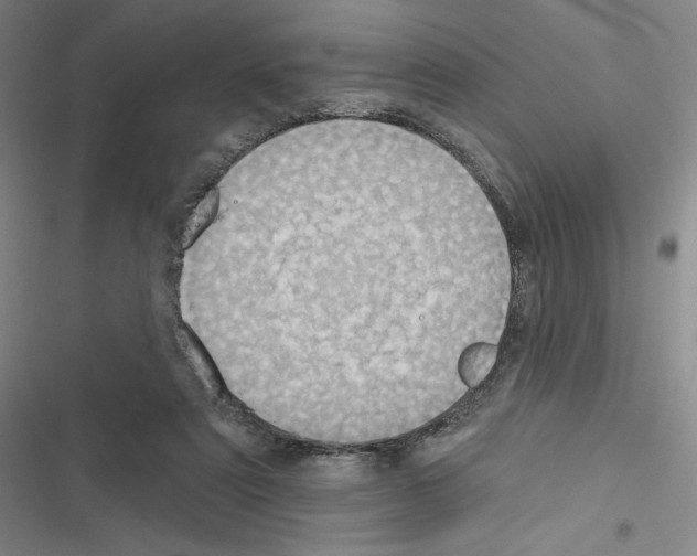 X0000116570307201001211249