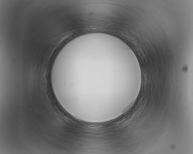 X0000116570308201001211249