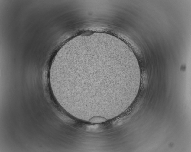 X0000116570309201001211249