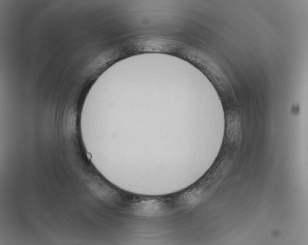 X0000116570310201001211249