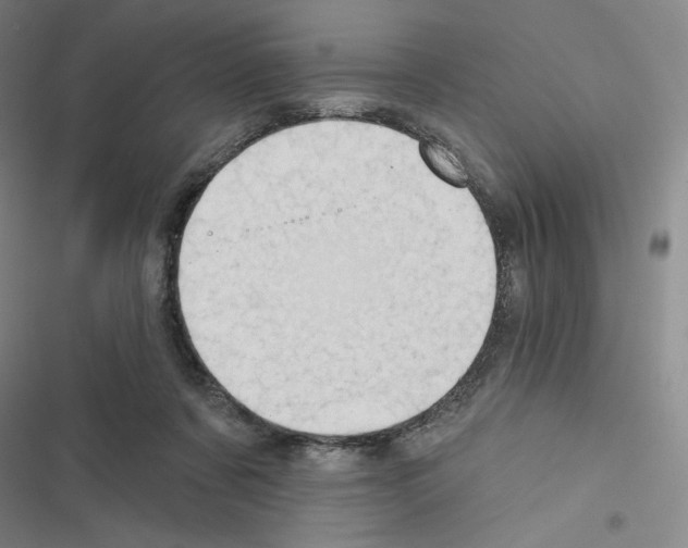 X0000116570311201001211249