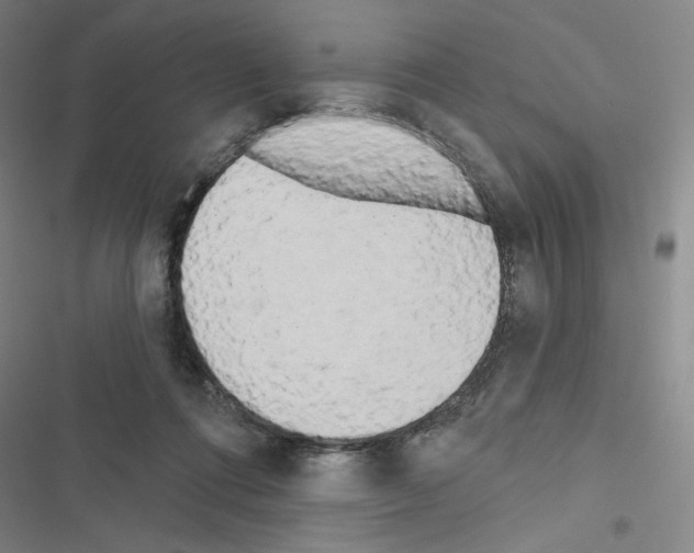 X0000116570312201001211249