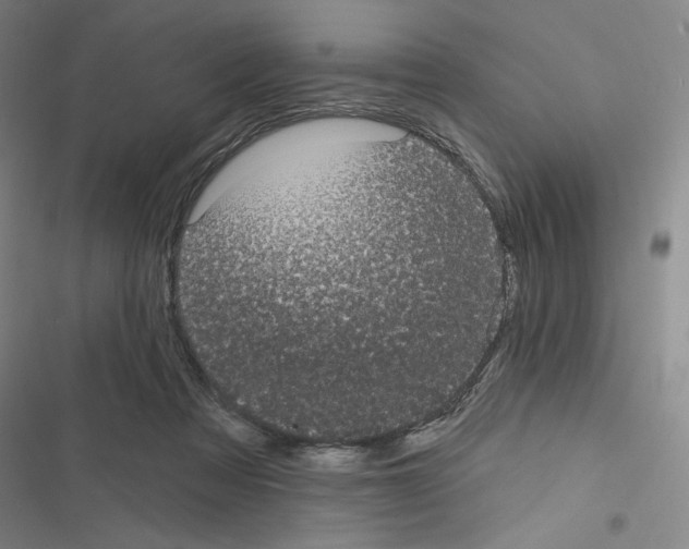 X0000116570313201001211249