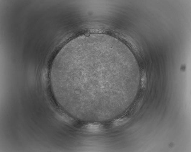 X0000116570314201001211249