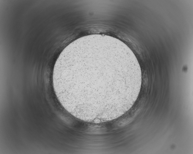 X0000116570315201001211249