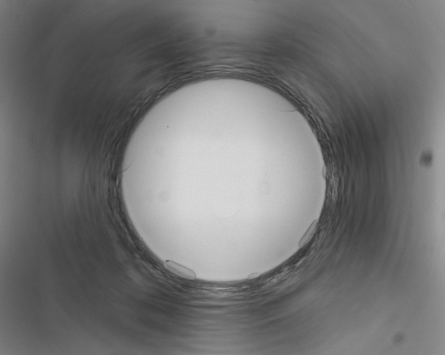 X0000116570316201001211249