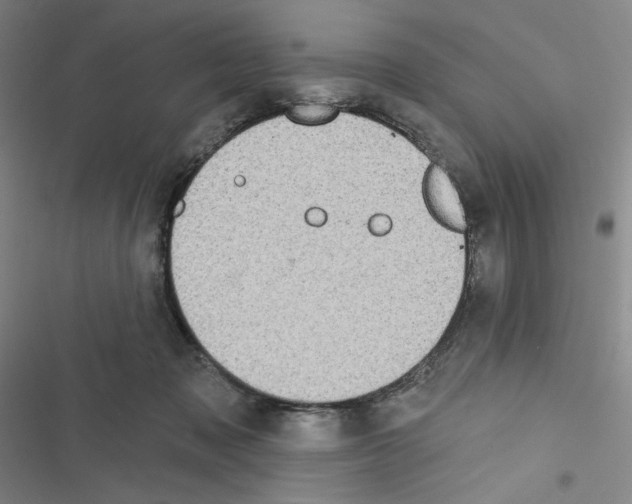 X0000116570317201001211249