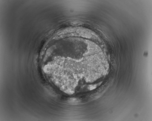 X0000116570319201001211249