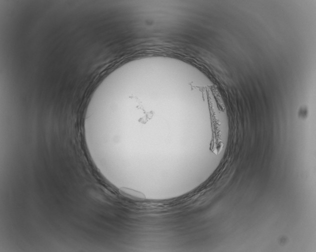 X0000116570320201001211249