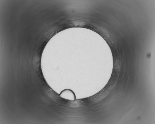 X0000116570321201001211249