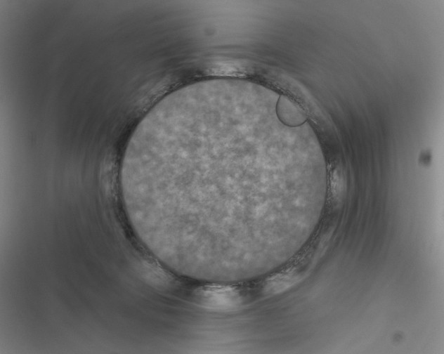 X0000116570322201001211249