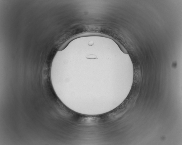 X0000116570323201001211249