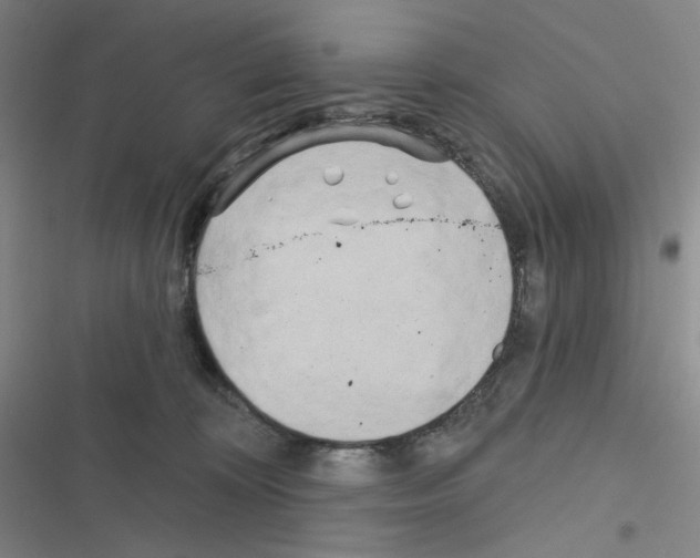 X0000116570324201001211249