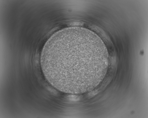 X0000116570326201001211249