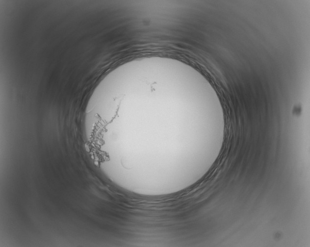 X0000116570328201001211249