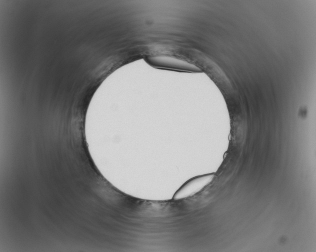 X0000116570329201001211249