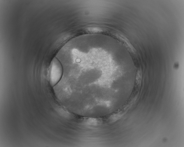 X0000116570330201001211249