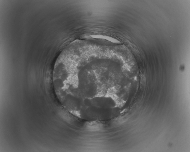 X0000116570331201001211249