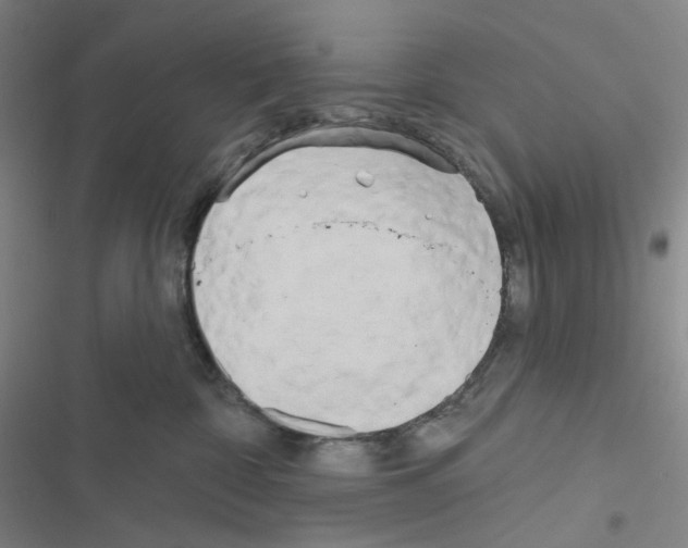 X0000116570332201001211249