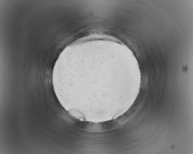 X0000116570335201001211249