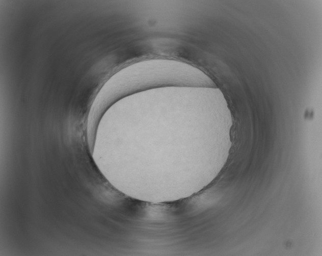 X0000116570336201001211249